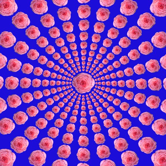 Rose Mandala (Pink/Blue)