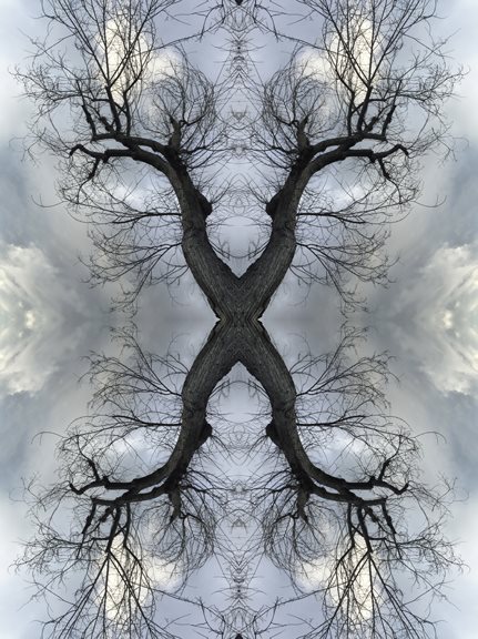 Tree Series 9 by Ivan Butorac