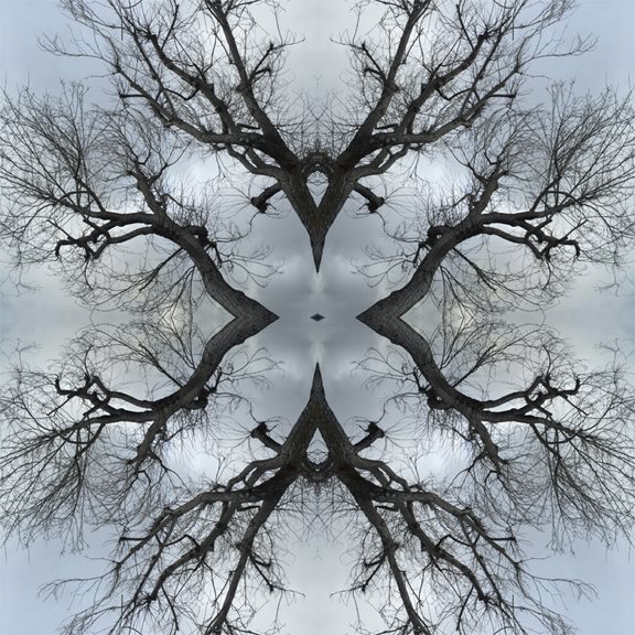 Tree Series 18 by Ivan Butorac