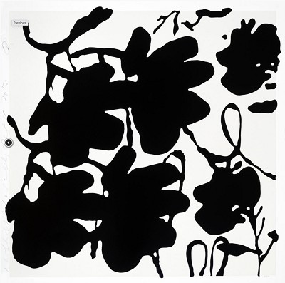 LANTERN FLOWERS, BLACK AND WHITE, OCT 4, 2017