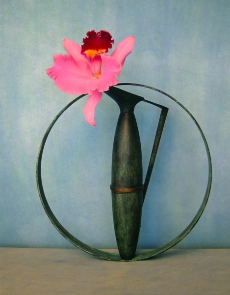 Pink Orchid (#94) by Masatomo Kuriya