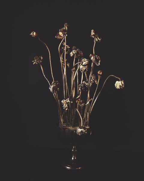 Flores de Oro by Ashley Woodson Bailey