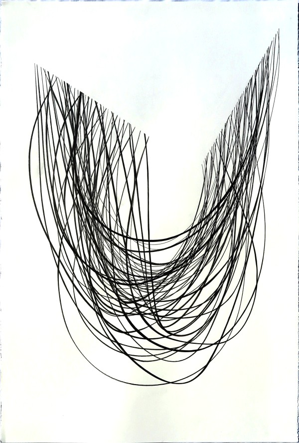 Downward Hang, #4 by Ann Marie Rousseau