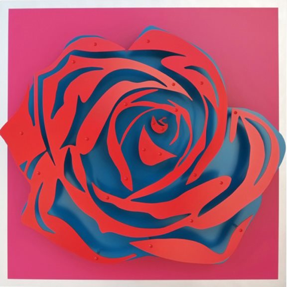 Rose - Red on Magenta by Michael Kalish