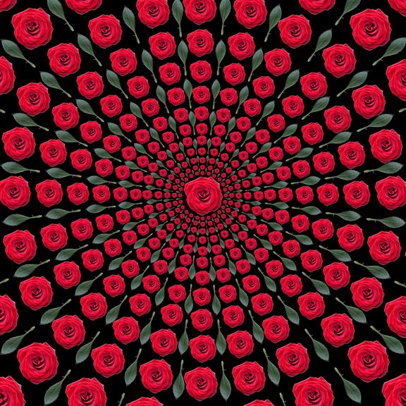 Rose Mandala (Red/Black) by Ivan Butorac