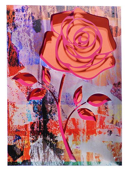 Crush/Rose on Coral by Michael Kalish