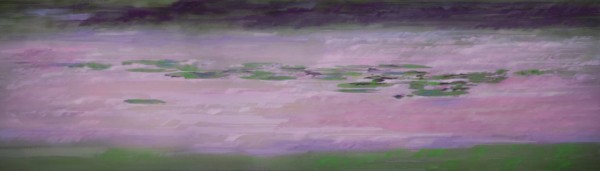 Lavender Lines by Christina Craemer