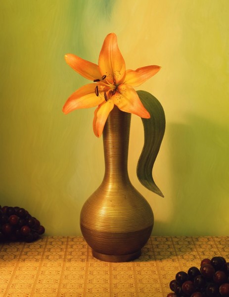 Orange Lily (#121)
