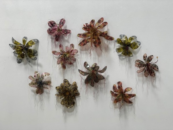 Wall Flowers by Gwen Samuels