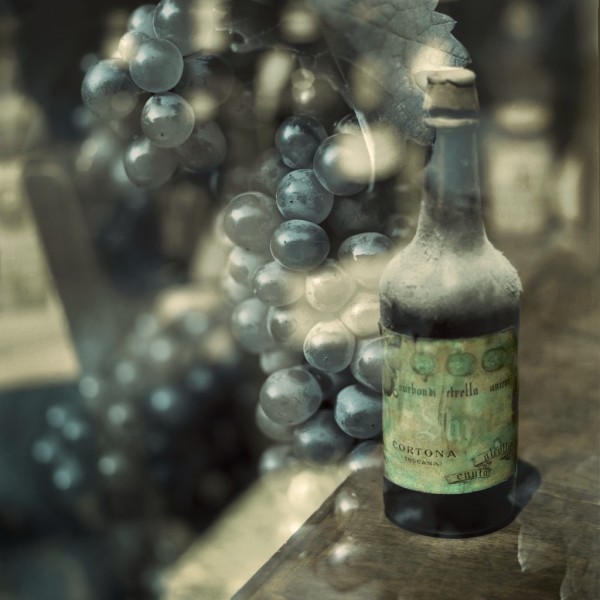Vintage Wine Tuscany 3 by Alan Blaustein