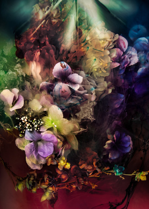 Flowers 1 by Javiera Estrada