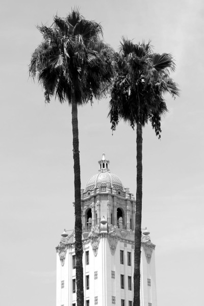 City Hall Palms by Michael Joseph