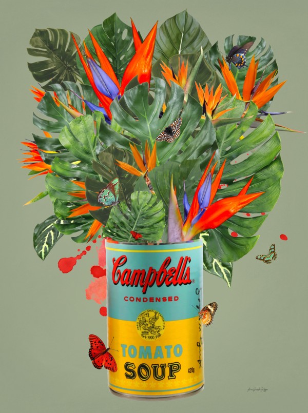 Campbells by Ana Paula Hoppe